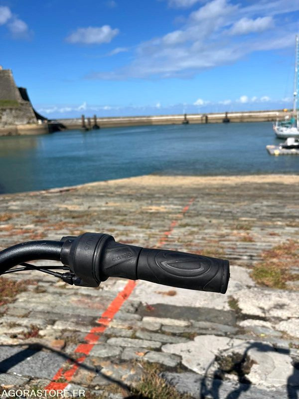 摩托车 5 vélos à assistance électrique - Arcade VITALITY：图10