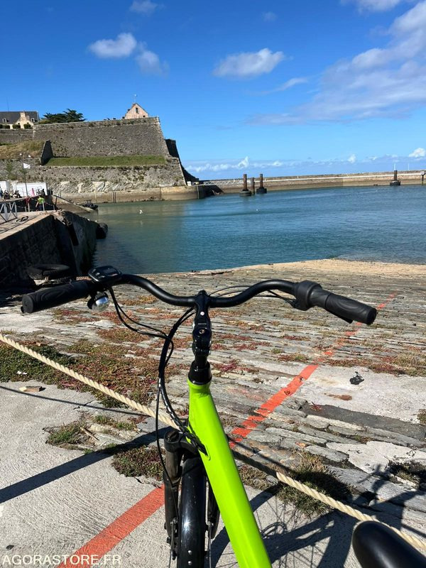 摩托车 5 vélos à assistance électrique - Arcade VITALITY：图9