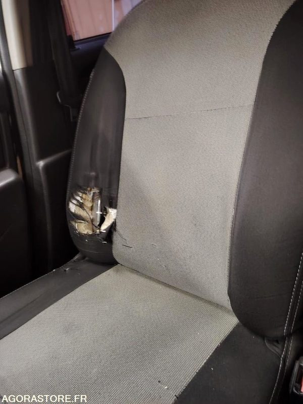 DACIA DUSTER - 越野车:图5 DACIA DUSTER - 越野车:图5