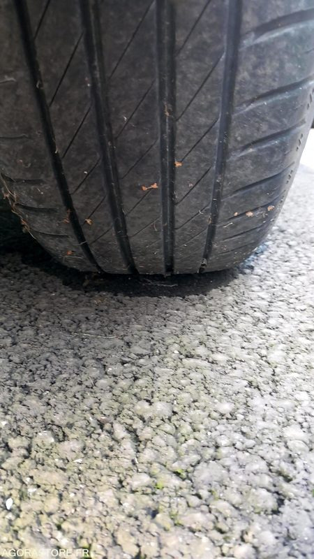 Renault Clio - 汽车:图5 Renault Clio - 汽车:图5