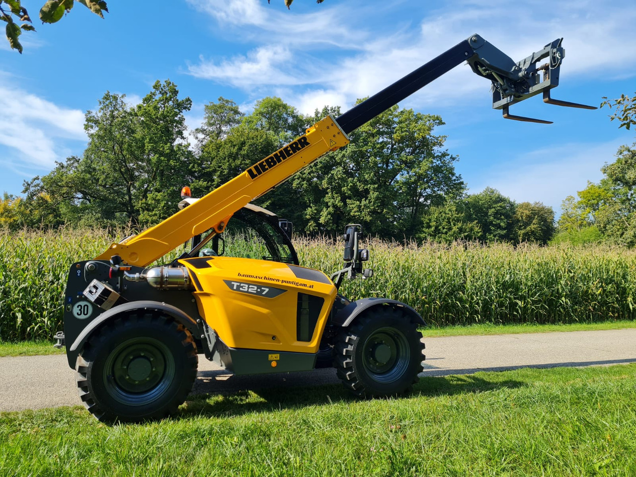 LIEBHERR T 32-7 - 伸缩臂叉装车:图3 LIEBHERR T 32-7 - 伸缩臂叉装车:图3