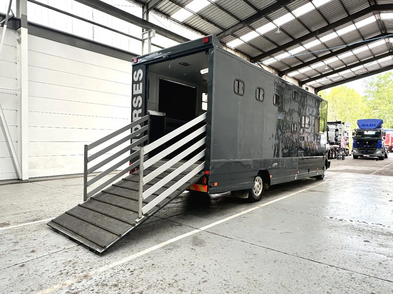 Mercedes-Benz 1117 MOBILE HOME / TRANSPORT DE CHEVAUX /HORSE TRUCK - 牲畜运输车:图5 Mercedes-Benz 1117 MOBILE HOME / TRANSPORT DE CHEVAUX /HORSE TRUCK - 牲畜运输车:图5