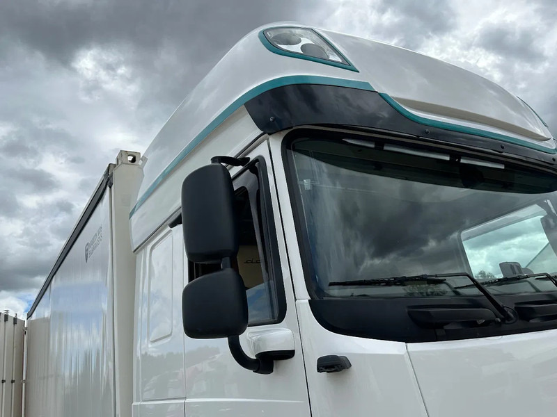 DAF XF 480 租赁 DAF XF 480：图8