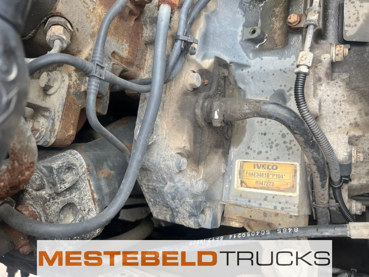 Iveco Motor F4AE3481 euro 4 - 发动机 适用于 卡车:图1 Iveco Motor F4AE3481 euro 4 - 发动机 适用于 卡车:图1