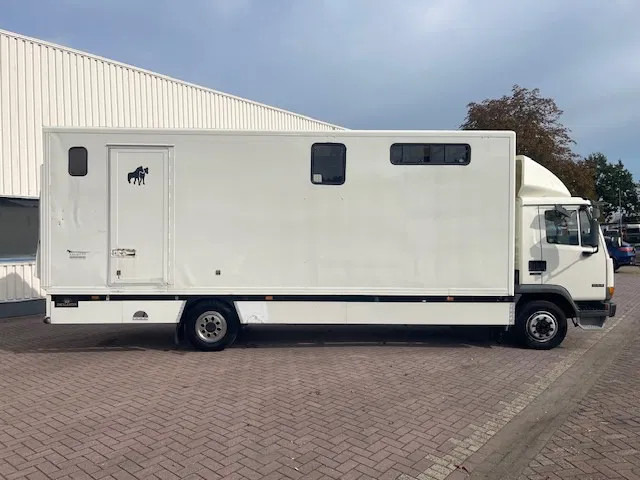 DAF LF 45.130 CLEAN HORSES NL-TRUCK - 马匹运输车:图5 DAF LF 45.130 CLEAN HORSES NL-TRUCK - 马匹运输车:图5
