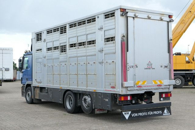 Mercedes-Benz 2541 L Actros 6x2, Finkl, 3 Stock,Kombi Liner XL - 马匹运输车:图3 Mercedes-Benz 2541 L Actros 6x2, Finkl, 3 Stock,Kombi Liner XL - 马匹运输车:图3