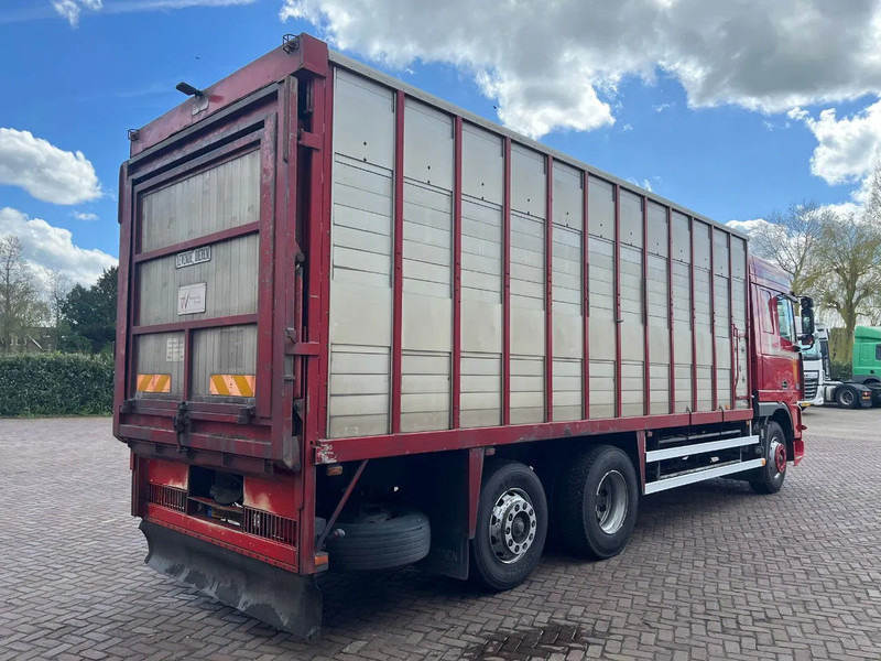 DAF XF FAR 95XF.380 EURO 2 - 牲畜运输车:图4 DAF XF FAR 95XF.380 EURO 2 - 牲畜运输车:图4