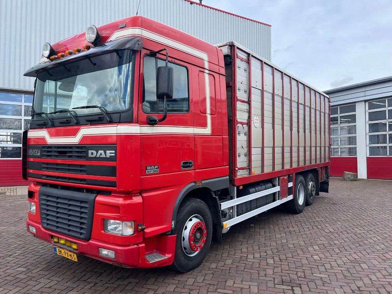 DAF XF FAR 95XF.380 EURO 2 - 牲畜运输车:图1 DAF XF FAR 95XF.380 EURO 2 - 牲畜运输车:图1