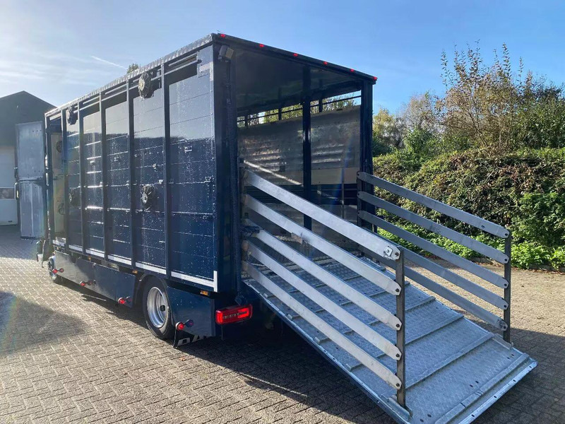 DAF LF 280 - 牲畜运输车:图5 DAF LF 280 - 牲畜运输车:图5