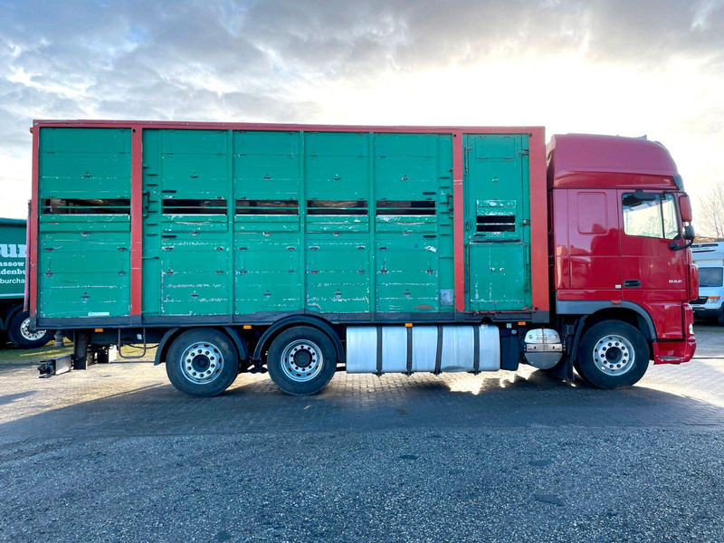 DAF XF 105.460 2-Stock Finkl Viehaufbau / Lenkachs - 牲畜运输车:图4 DAF XF 105.460 2-Stock Finkl Viehaufbau / Lenkachs - 牲畜运输车:图4