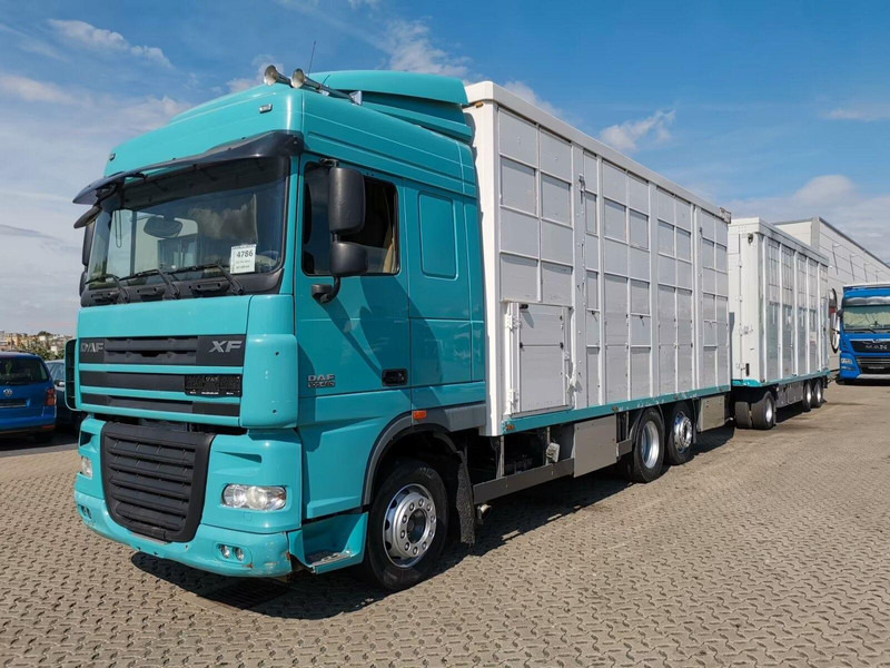 DAF XF 105.460 - Animal transporter + trailer - 牲畜运输车:图1 DAF XF 105.460 - Animal transporter + trailer - 牲畜运输车:图1