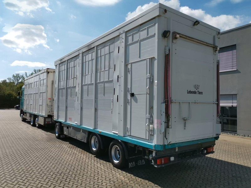 DAF XF 105.460 - Animal transporter + trailer - 牲畜运输车:图4 DAF XF 105.460 - Animal transporter + trailer - 牲畜运输车:图4