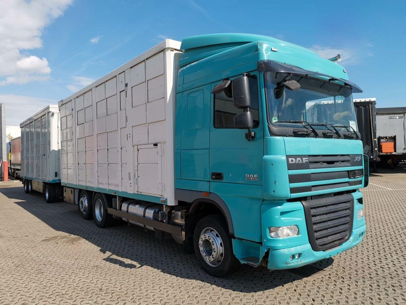 DAF XF 105.460 - Animal transporter + trailer - 牲畜运输车:图2 DAF XF 105.460 - Animal transporter + trailer - 牲畜运输车:图2
