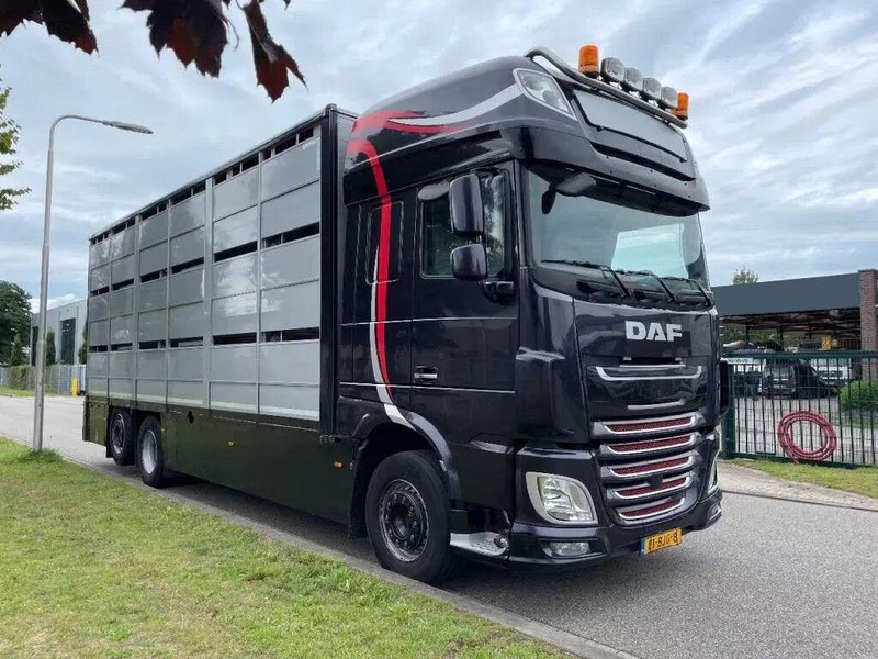DAF XF 460 - Animal transporter - 牲畜运输车:图2 DAF XF 460 - Animal transporter - 牲畜运输车:图2