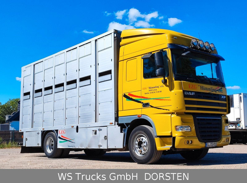 DAF XF410 Menke Doppelstock - 牲畜运输车:图3 DAF XF410 Menke Doppelstock - 牲畜运输车:图3