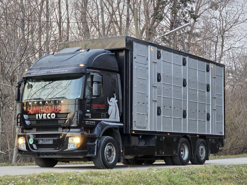 Iveco Stralis 260S45 - Animal transporter - 牲畜运输车:图1 Iveco Stralis 260S45 - Animal transporter - 牲畜运输车:图1