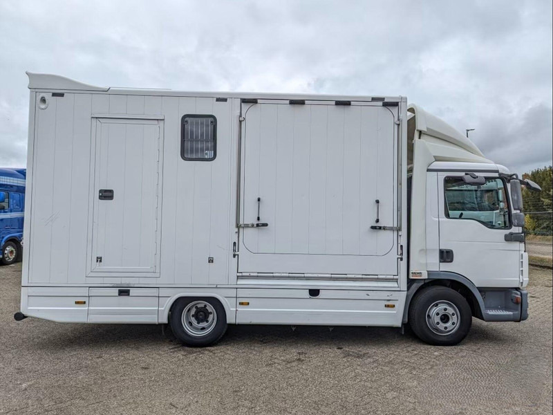 MAN TGL 12.250 - Horse transporter - 马匹运输车:图5 MAN TGL 12.250 - Horse transporter - 马匹运输车:图5