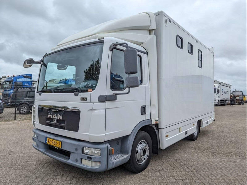 MAN TGL 12.250 - Horse transporter - 马匹运输车:图1 MAN TGL 12.250 - Horse transporter - 马匹运输车:图1