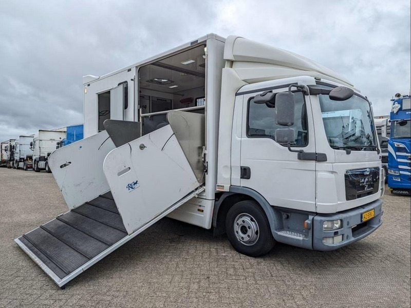 MAN TGL 12.250 - Horse transporter - 马匹运输车:图2 MAN TGL 12.250 - Horse transporter - 马匹运输车:图2