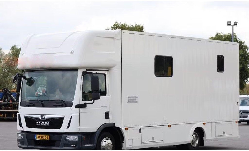 MAN TGL 8.190 - - 马匹运输车:图1 MAN TGL 8.190 - - 马匹运输车:图1