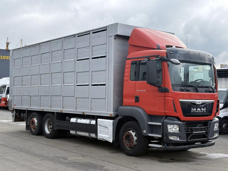 MAN TGS 26.440 - Animal transporter - 牲畜运输车:图2 MAN TGS 26.440 - Animal transporter - 牲畜运输车:图2