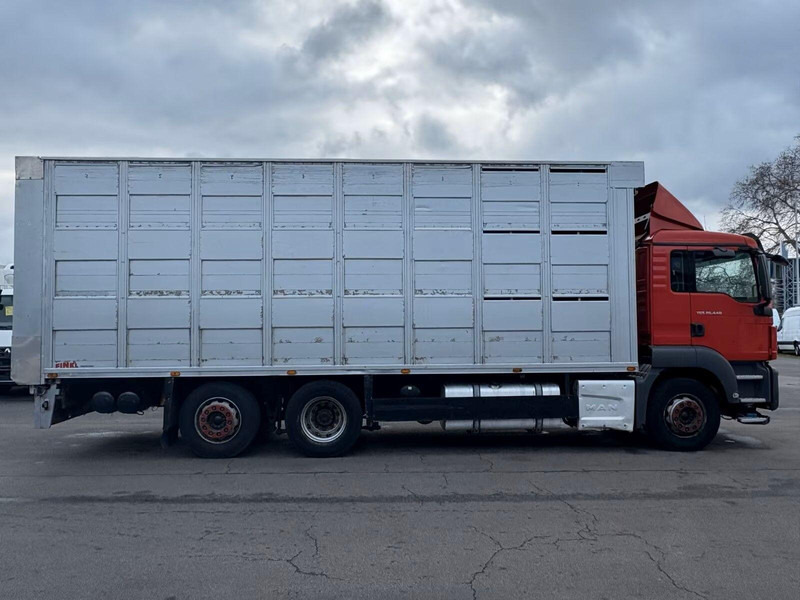 MAN TGS 26.440 - Animal transporter - 牲畜运输车:图4 MAN TGS 26.440 - Animal transporter - 牲畜运输车:图4