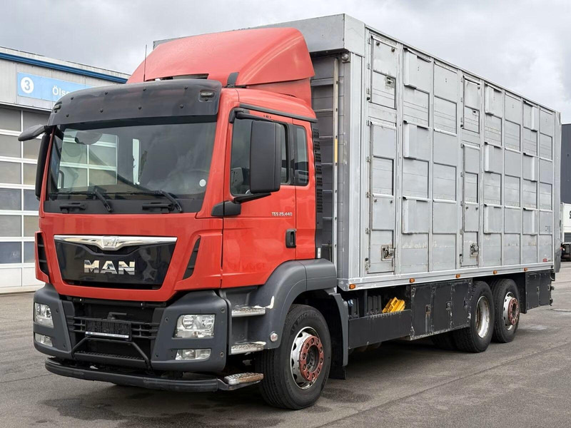 MAN TGS 26.440 - Animal transporter - 牲畜运输车:图1 MAN TGS 26.440 - Animal transporter - 牲畜运输车:图1