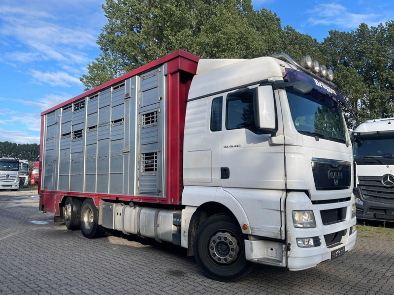 MAN TGX 26.400 6x2-2 LL 3 Stück Finkl Hubdach - 牲畜运输车:图1 MAN TGX 26.400 6x2-2 LL 3 Stück Finkl Hubdach - 牲畜运输车:图1
