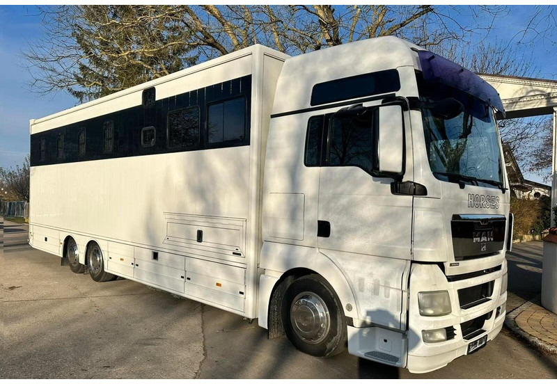 MAN TGX 26.440 - Horse transporter - 马匹运输车:图2 MAN TGX 26.440 - Horse transporter - 马匹运输车:图2