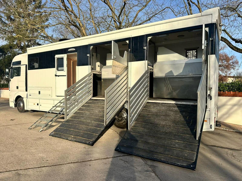 MAN TGX 26.440 - Horse transporter - 马匹运输车:图5 MAN TGX 26.440 - Horse transporter - 马匹运输车:图5