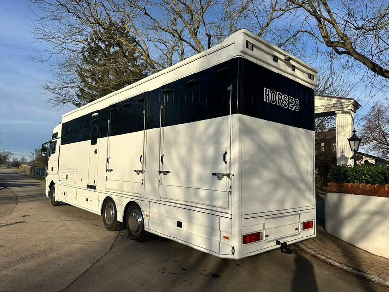 MAN TGX 26.440 - Horse transporter - 马匹运输车:图4 MAN TGX 26.440 - Horse transporter - 马匹运输车:图4