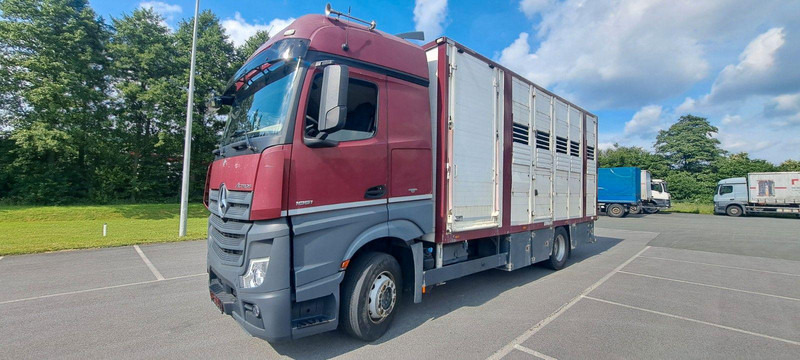 Mercedes-Benz Actros 1851 - 牲畜运输车:图1 Mercedes-Benz Actros 1851 - 牲畜运输车:图1