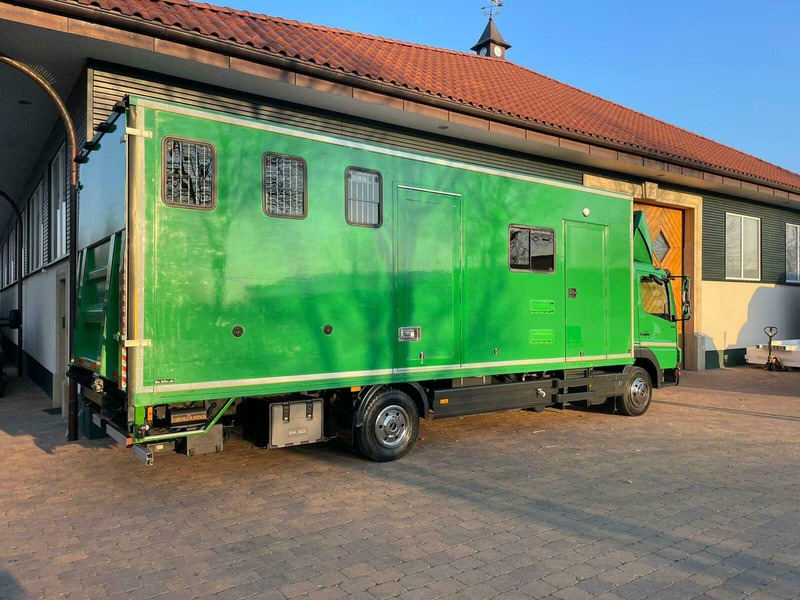 Mercedes-Benz Atego 1018 - Horse transporter - 马匹运输车:图5 Mercedes-Benz Atego 1018 - Horse transporter - 马匹运输车:图5