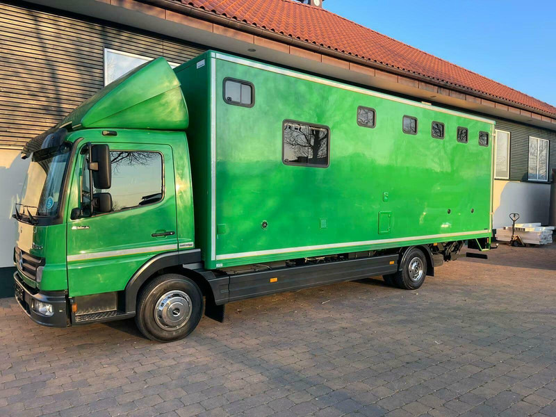 Mercedes-Benz Atego 1018 - Horse transporter - 马匹运输车:图1 Mercedes-Benz Atego 1018 - Horse transporter - 马匹运输车:图1