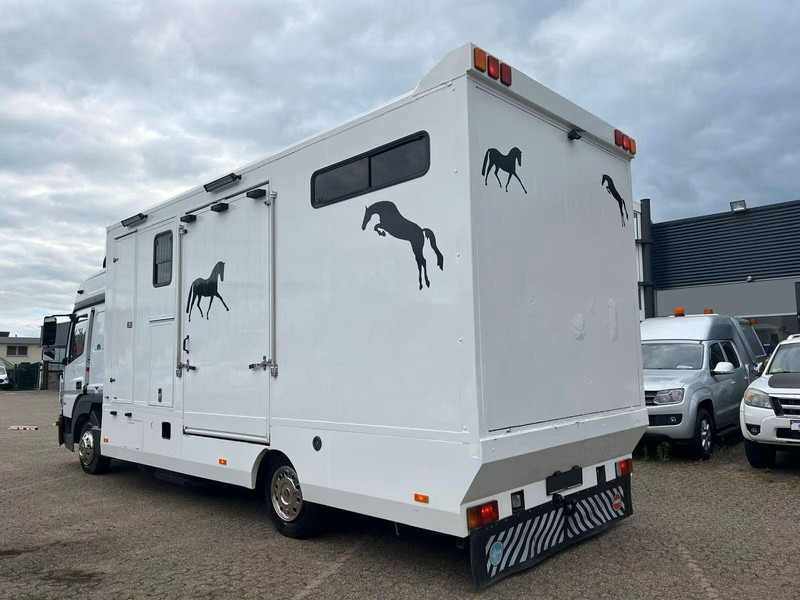 Mercedes-Benz Atego 823 - Horse transporter - 马匹运输车:图4 Mercedes-Benz Atego 823 - Horse transporter - 马匹运输车:图4