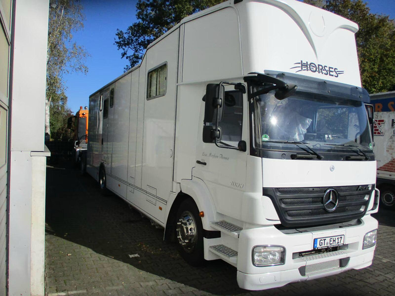 Mercedes-Benz Axor 1833 - Horse transporter - 马匹运输车:图2 Mercedes-Benz Axor 1833 - Horse transporter - 马匹运输车:图2