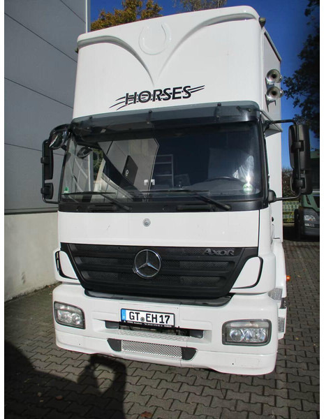 Mercedes-Benz Axor 1833 - Horse transporter - 马匹运输车:图3 Mercedes-Benz Axor 1833 - Horse transporter - 马匹运输车:图3