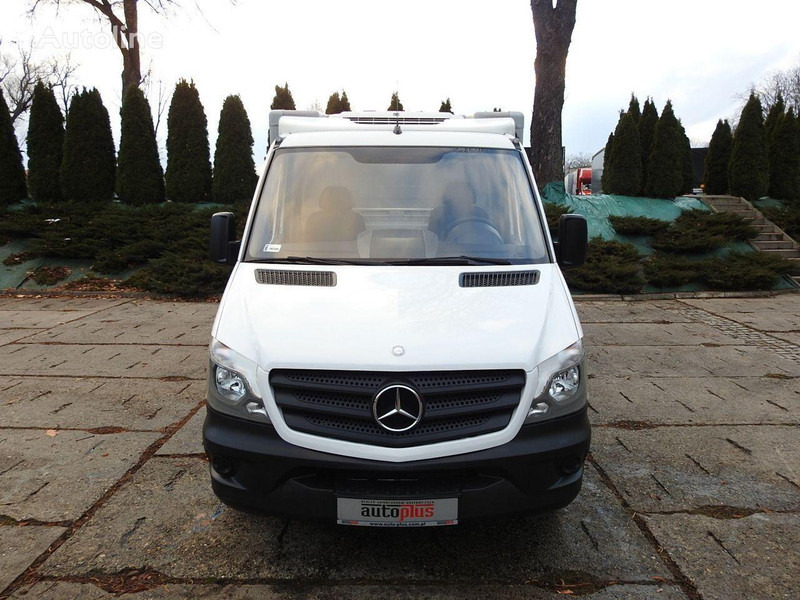 Mercedes-Benz SPRINTER 313 Izotermes - 冷藏车:图5 Mercedes-Benz SPRINTER 313 Izotermes - 冷藏车:图5