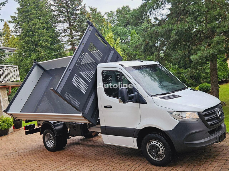Mercedes-Benz Sprinter 51 9 CDI 3 way tipper - 翻斗货车:图2 Mercedes-Benz Sprinter 51 9 CDI 3 way tipper - 翻斗货车:图2