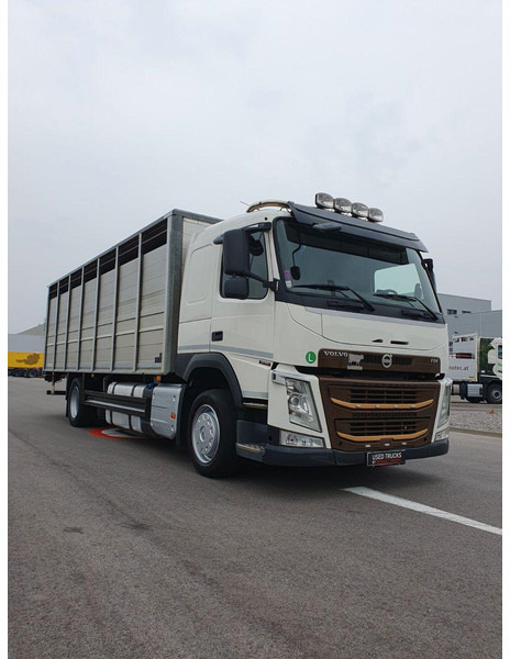 Volvo FM 500 Viehtransporter ( Rind / beef ) - 牲畜运输车:图1 Volvo FM 500 Viehtransporter ( Rind / beef ) - 牲畜运输车:图1