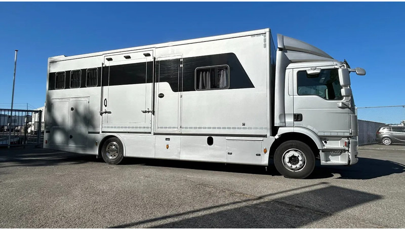 MAN TGM 15.250 5 horses and living brand Krismar - 马匹运输车:图1 MAN TGM 15.250 5 horses and living brand Krismar - 马匹运输车:图1