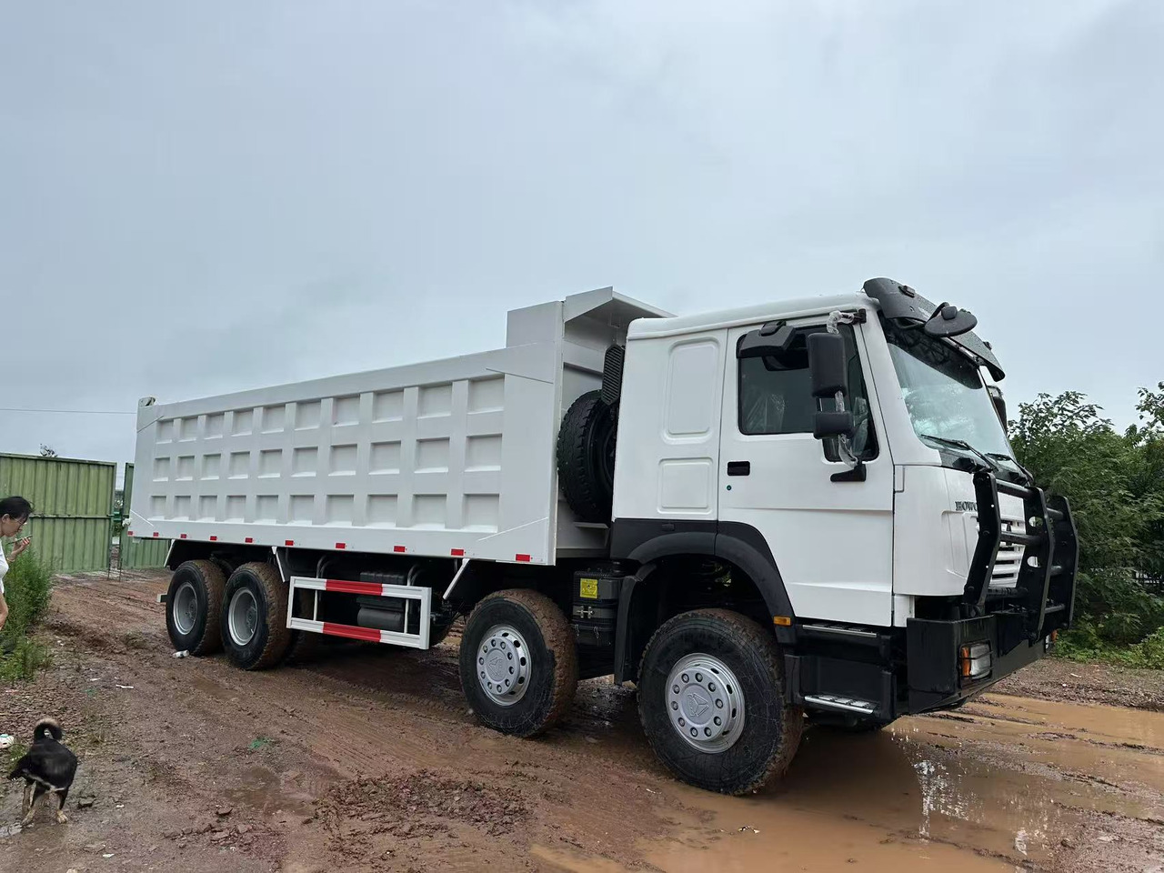 HOWO 371hp - 翻斗车:图3 HOWO 371hp - 翻斗车:图3