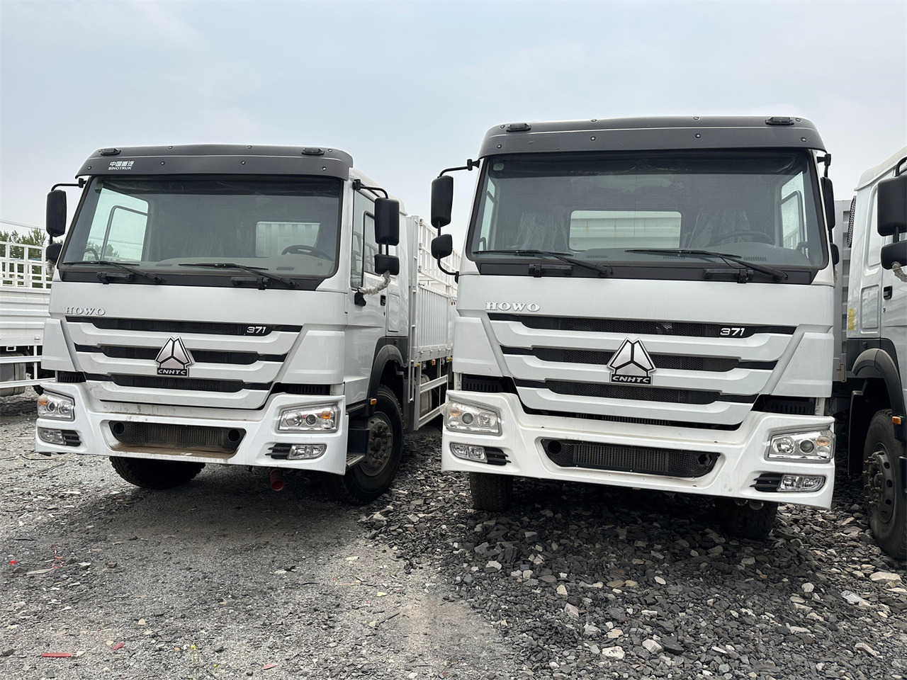 SINOTRUK HOWO 371 Cargo truck - 牲畜运输车:图2 SINOTRUK HOWO 371 Cargo truck - 牲畜运输车:图2