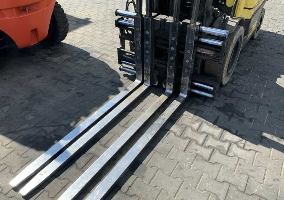 Bolzoni DS13FS - 叉:图1 Bolzoni DS13FS - 叉:图1