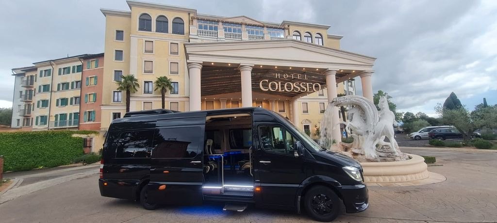 Mercedes-Benz Sprinter 319 VIP 8+1 Mercedes-Benz Sprinter 319 VIP 8+1 - 小型巴士, 小型客车:图1 Mercedes-Benz Sprinter 319 VIP 8+1 Mercedes-Benz Sprinter 319 VIP 8+1 - 小型巴士, 小型客车:图1