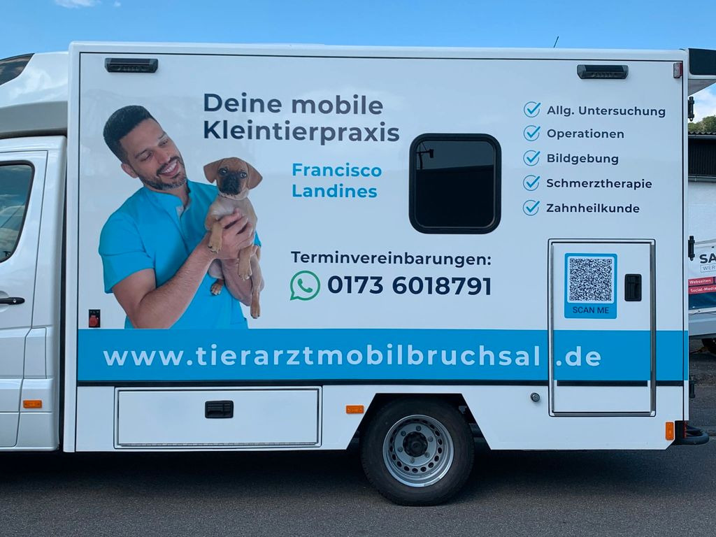 Mercedes-Benz Sprinter 519 Tierarzt Garantie Mercedes-Benz Sprinter 519 Tierarzt Garantie - 救护车:图3 Mercedes-Benz Sprinter 519 Tierarzt Garantie Mercedes-Benz Sprinter 519 Tierarzt Garantie - 救护车:图3