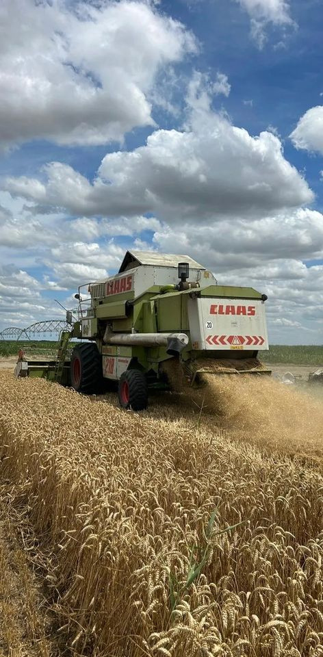 New Holland TC5.70 - 联合收割机:图5 New Holland TC5.70 - 联合收割机:图5