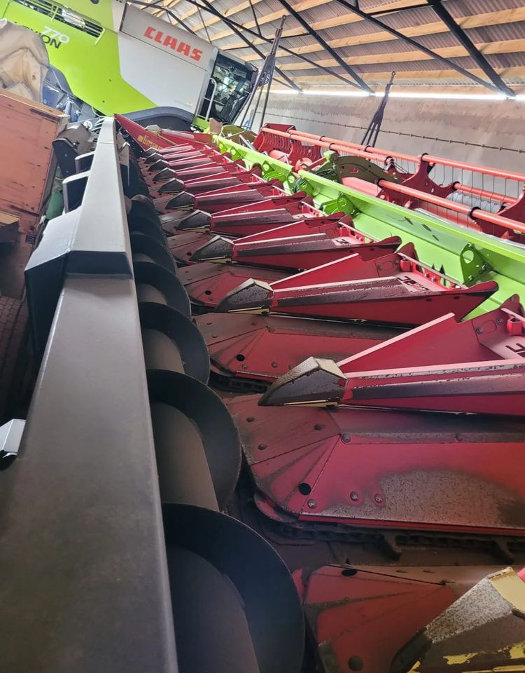 Olimac Drago II - 玉米收割装置:图2 Olimac Drago II - 玉米收割装置:图2