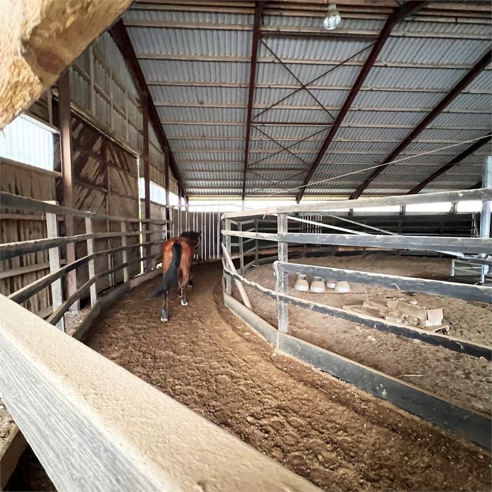 ABC Molenkoning Horse Walker - 20 meter - Se Video! - 牲畜设备:图3 ABC Molenkoning Horse Walker - 20 meter - Se Video! - 牲畜设备:图3
