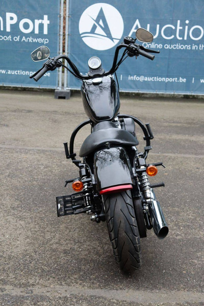 Harley-Davidson Sporster XL 1200 Nightster - 摩托车:图5 Harley-Davidson Sporster XL 1200 Nightster - 摩托车:图5